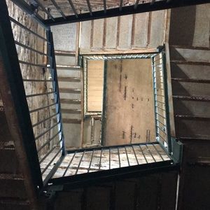 Meet your Posher, Carrie